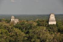 Apenas os templos mais altos se erguem acima da mata que cobre Tikal, na Guatemala